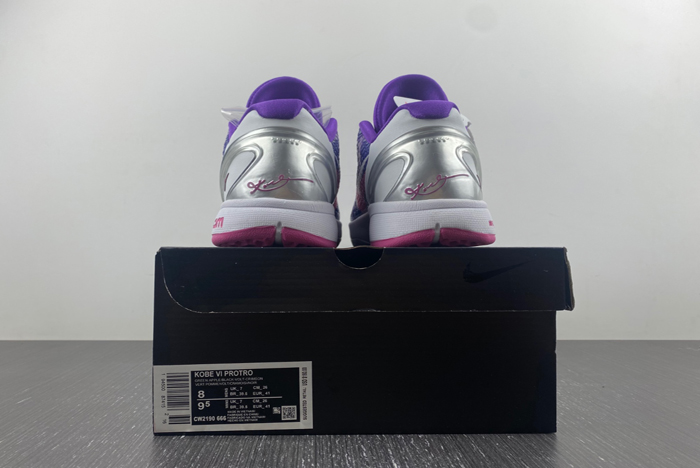 kobe 6 protro  cw2190-666