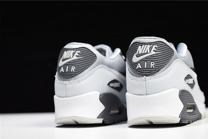 nike air max 90 essential - 537384-083